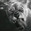@cgxdsvjjvcxxcbjjbvcccxxd