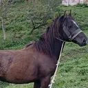 @vachegevorgyan20