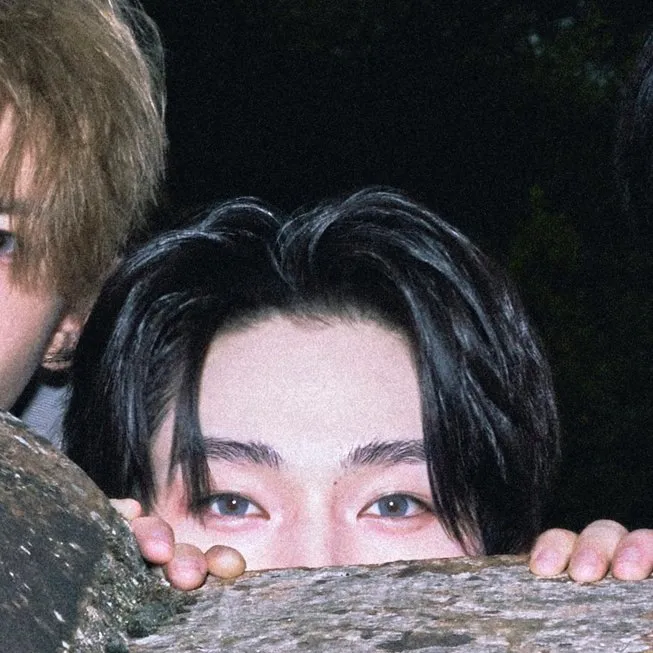 ttori007