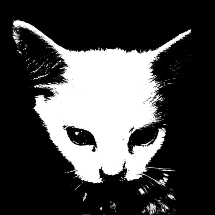 ່ - original sound