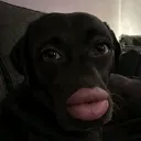 @thabiiwabii