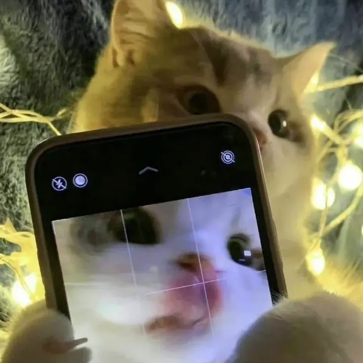 kasybalykaby
