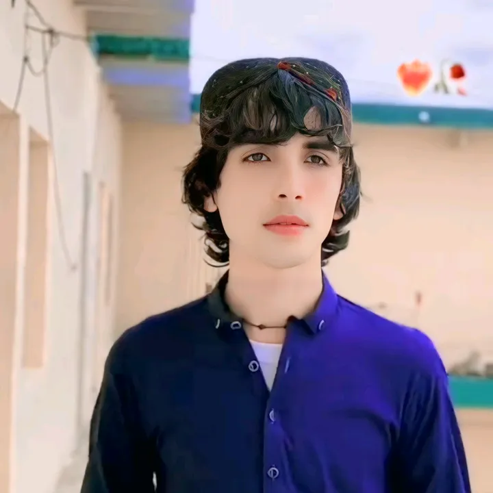 @shami__gull