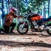 adrianohornet600750