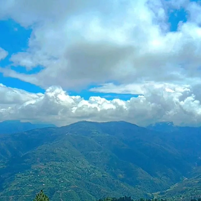 shasankhar12