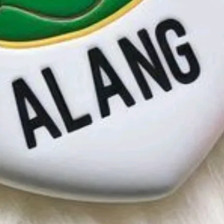 alang_044