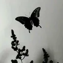 @rashydkhanom001