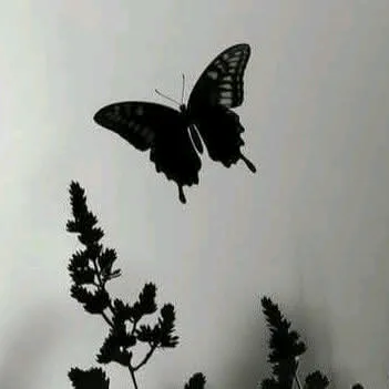 rashydkhanom001