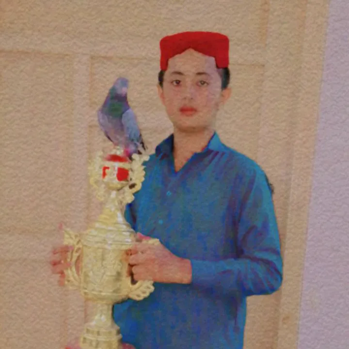 @rajahamzaking637