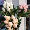 nuevos.productos
