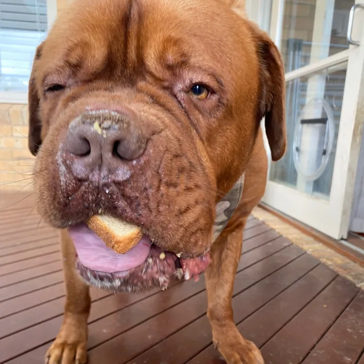 pubewubbie