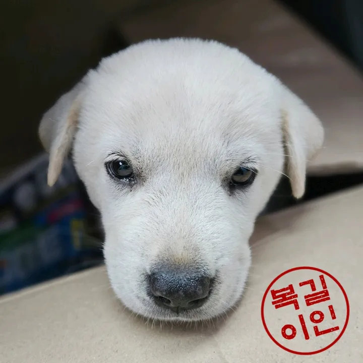 bokgil20240522