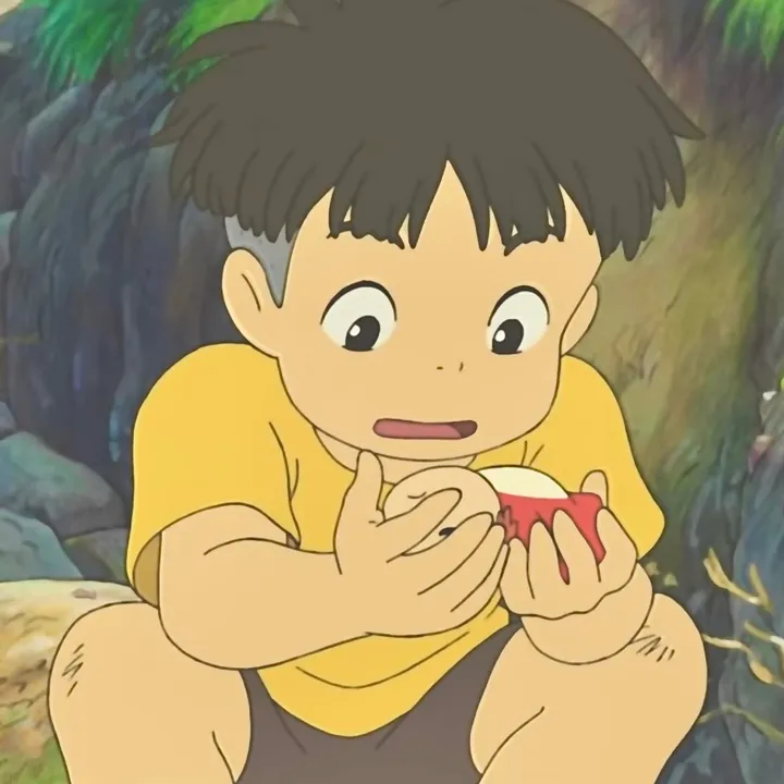 miocchi_