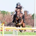 @martinarossi_showjumping