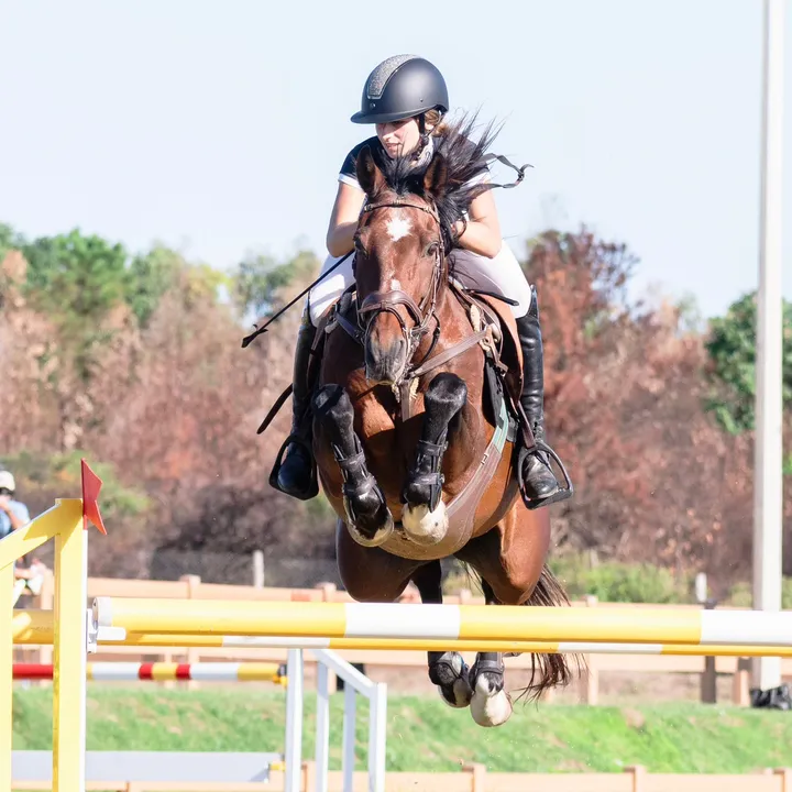 @martinarossi_showjumping