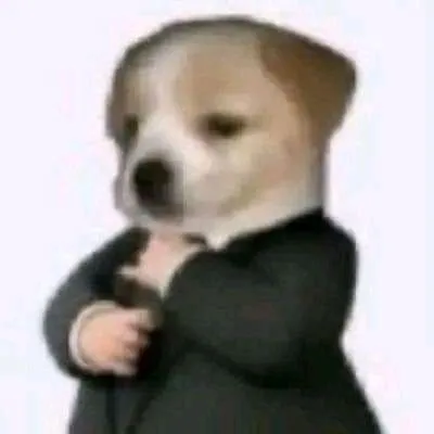 _bvt101