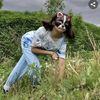 deardiaryfurrylife
