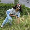 @deardiaryfurrylife