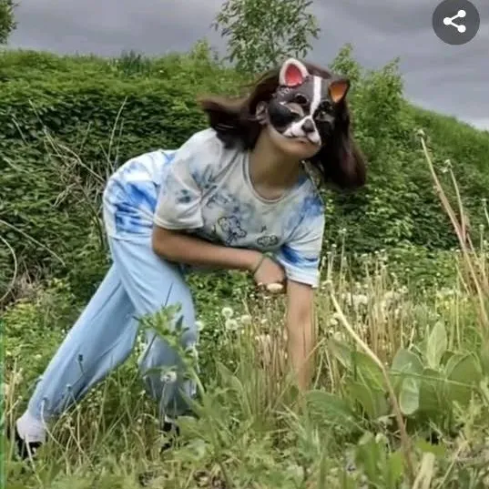 deardiaryfurrylife