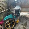owneracill1