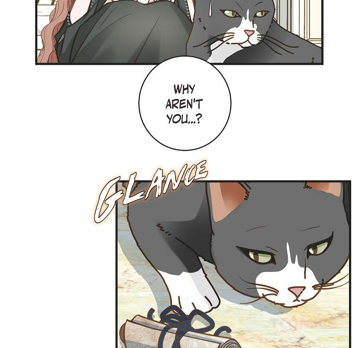 Survival Marriage - episode 31 - 38