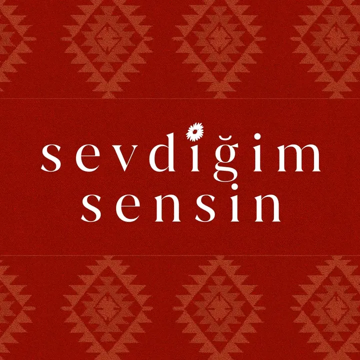 @sevdigimsensindizi6