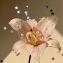 @april.apple14
