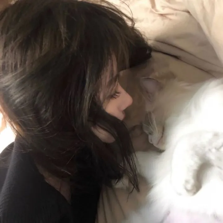 @vibeaut