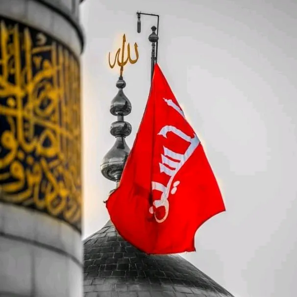sayed_zada_1104