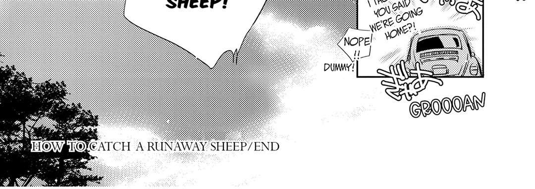 How To Catch a Runaway Sheep - episode 6 - 35