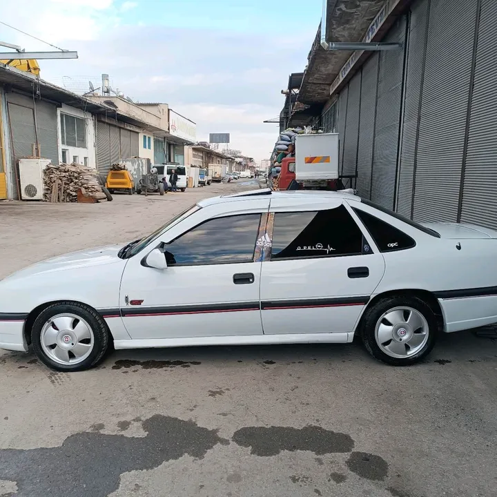 girsaarli4040