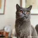 @my_pory