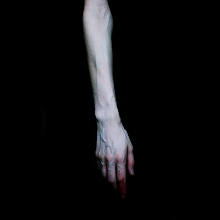 fideliomnia
