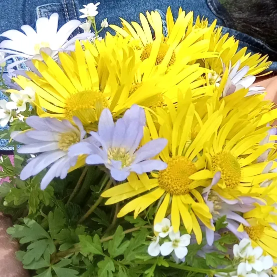 @zorkdn78