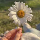 @reemyy1101