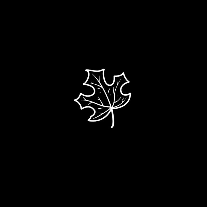 𝟑𝟎𝟑 𝐃𝐫𝐢𝐜𝐞𝐥𝐥. - original sound