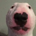 @lazyfinalboss1