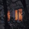 thequietpoet7