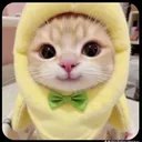 @anhnguyen33352