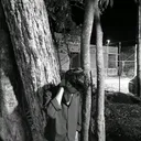 @rajverm111