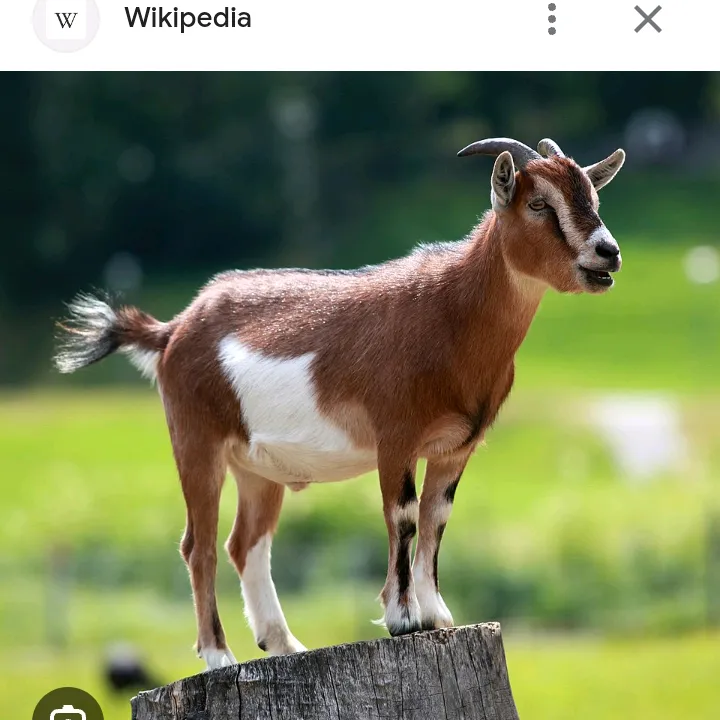 mbokjemmm