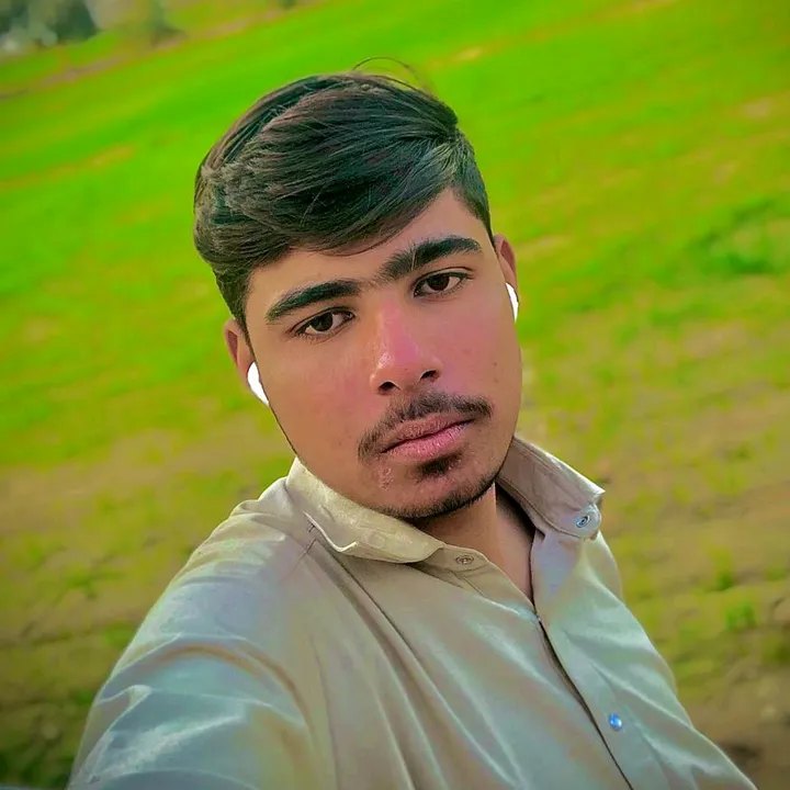 pindaalyjutt1314