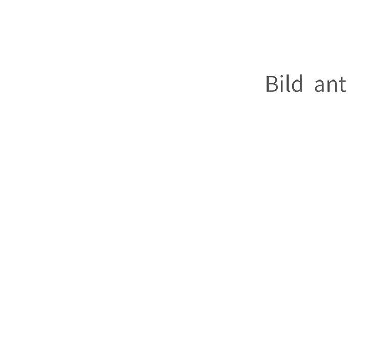 Ihr Leibwächter - episode 10 - 12