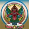 samsara3565