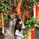 @lnhnht_