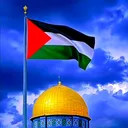 @usman.jutt744
