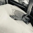 @dohnbils