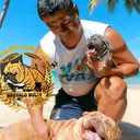 @arevalobullsperu