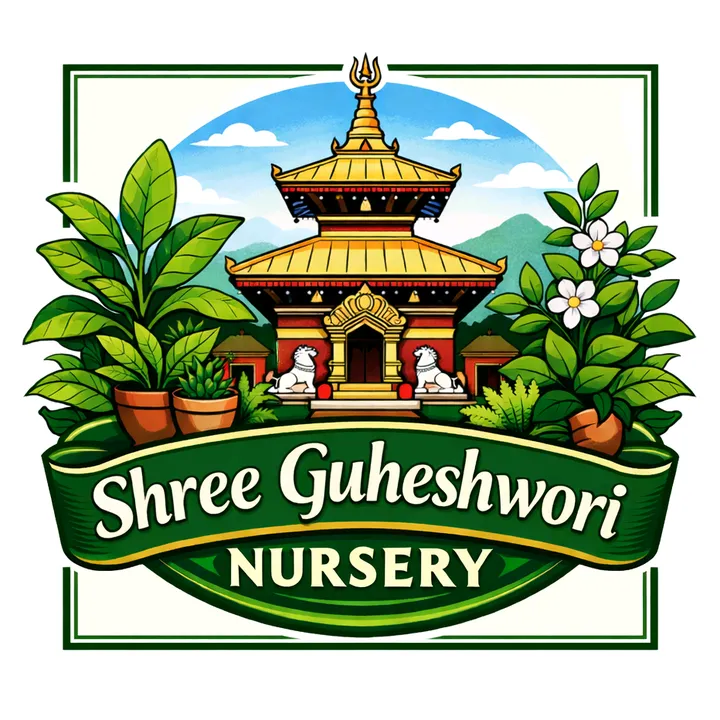 shreeguheshworinursery