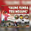 teh_mojang1